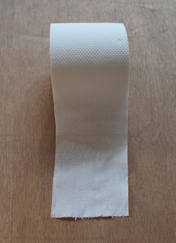 Jumbo Toilet Tissue Roll